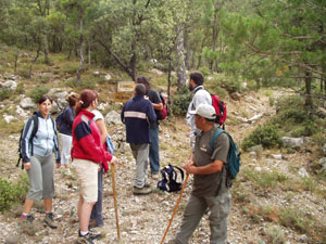 BARRANC DEL MARFULLAR