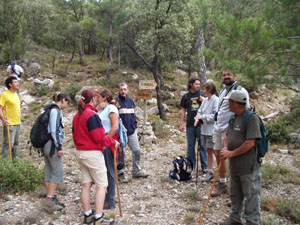 BARRANC DEL MARFULLAR