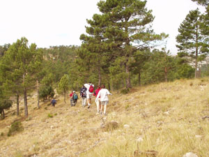 CARENA DEL TURMELL