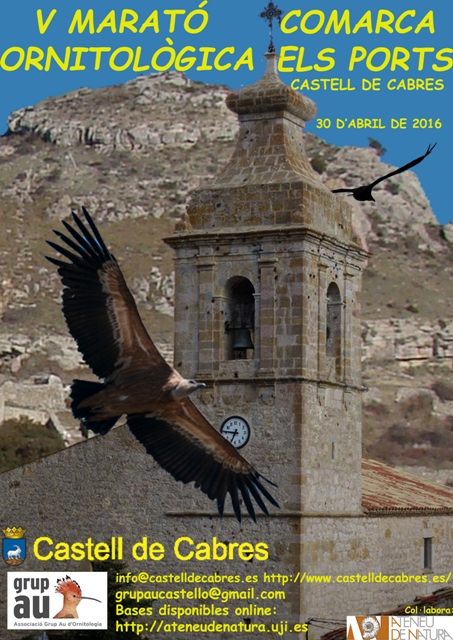 Marató el Ports Castell de Cabres