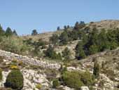 SERRA DE LES ALBARDES