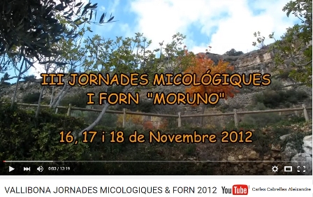 III Jornades Micolgiques I Forn Mor Vallibona