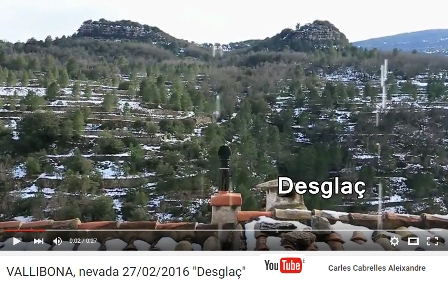 Desgla, nevada 27 febrer 2016 Vallibona
